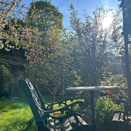 Alte Gerberei Hotel 2*