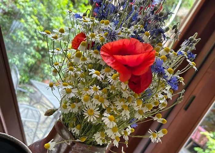 ألتي غيبيري 2*